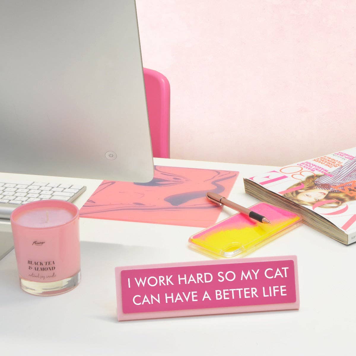 I Work Hard so my Cat Can Have a Better Life Desk Plate Sign