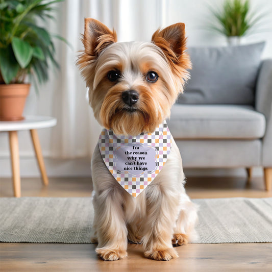 "I'm The Reason Why We Can't Have Nice Things" Bandana Collar
