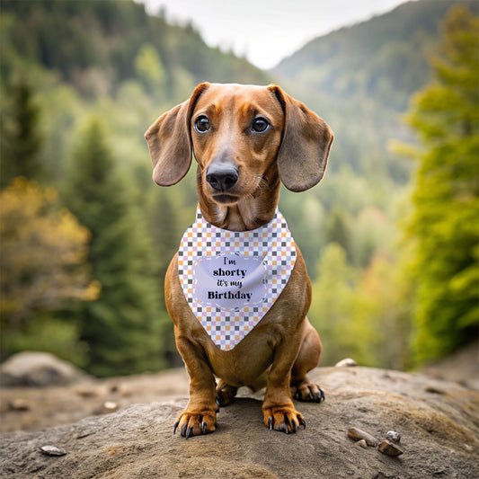 It's My Birthday Dog Bandana