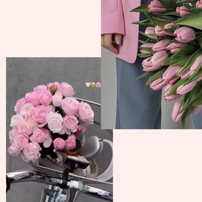 Social Media Reels And Images