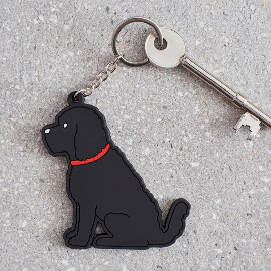 Cockapoo / Labradoodle Keyring
