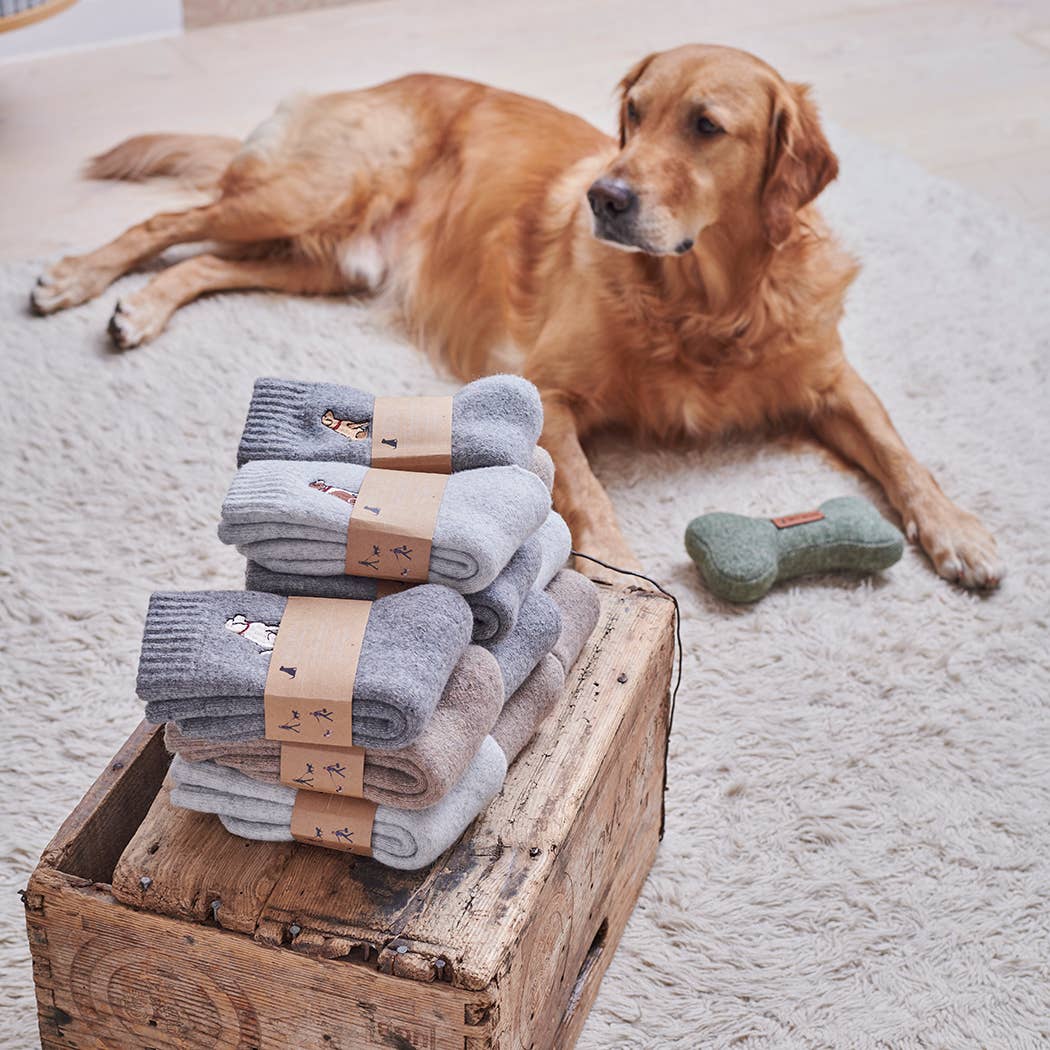 Dachshund Walking Socks