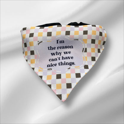 "I'm The Reason Why We Can't Have Nice Things" Bandana Collar
