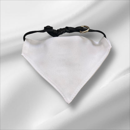 "I'm The Reason Why We Can't Have Nice Things" Bandana Collar