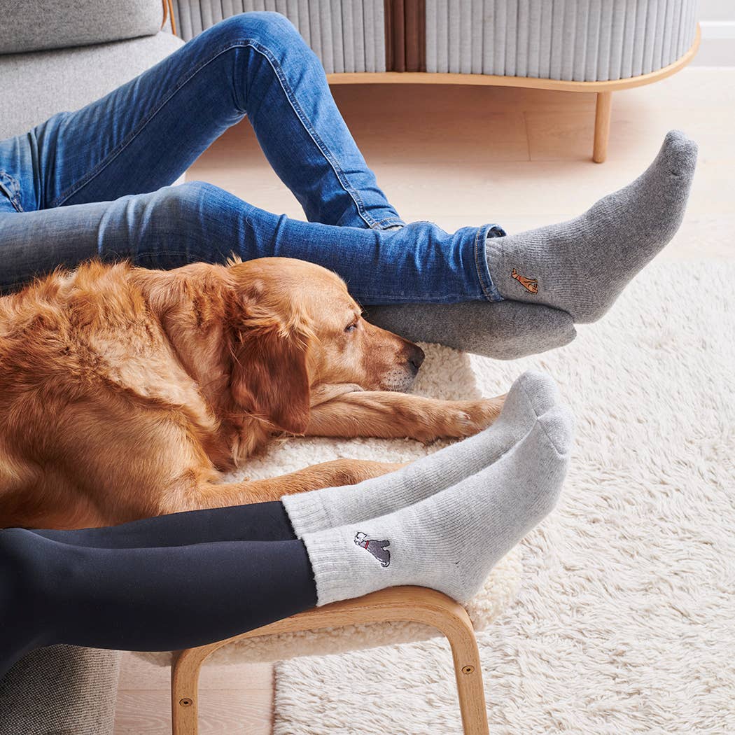 Dachshund Walking Socks