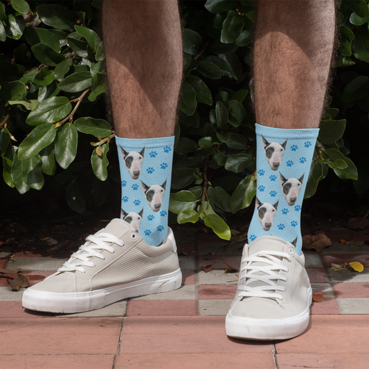 Custom Dog Face Socks
